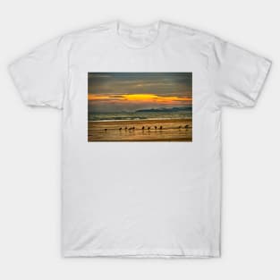 Oystercatchers on the beach T-Shirt